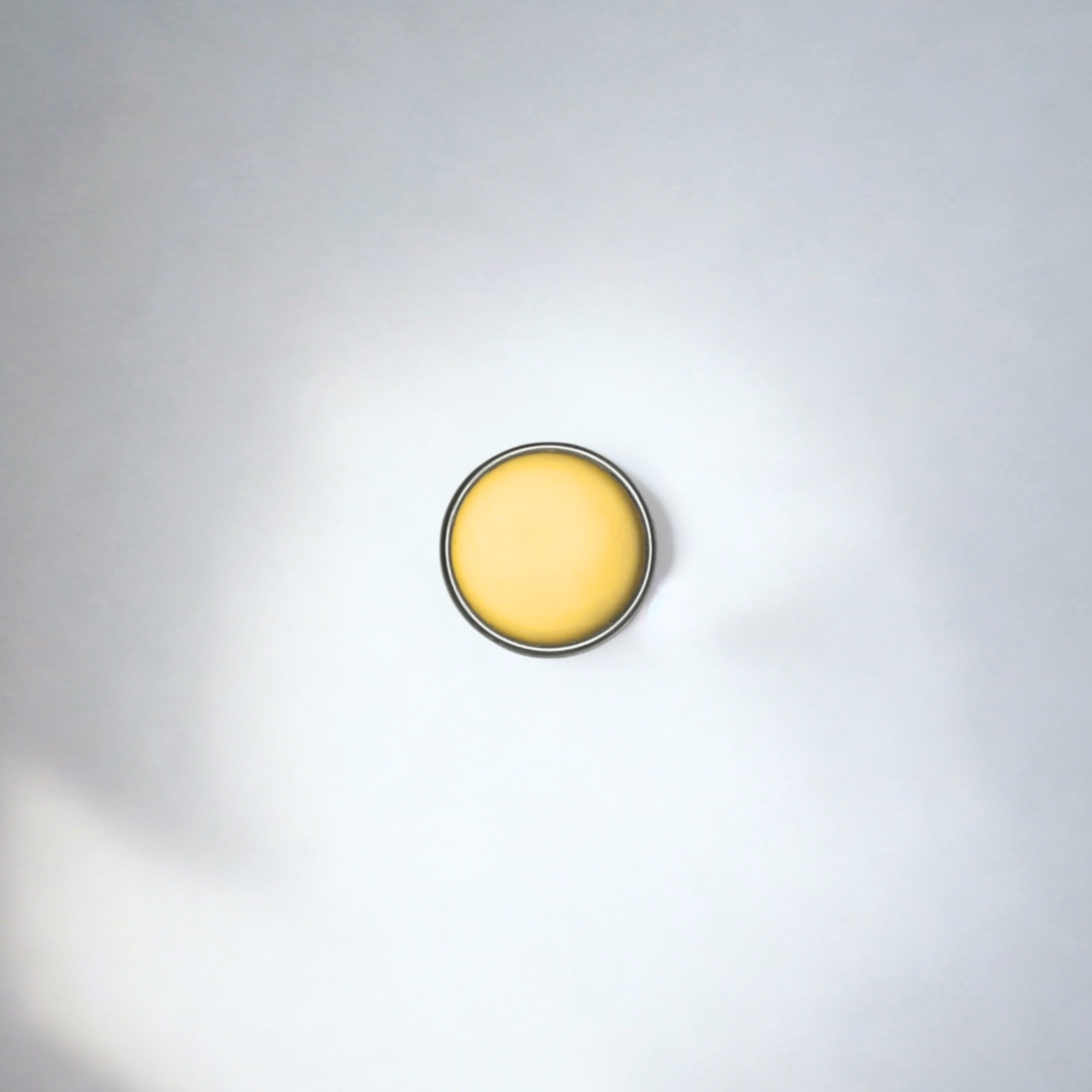 Tallow & Honey Lip Balm: Vanilla